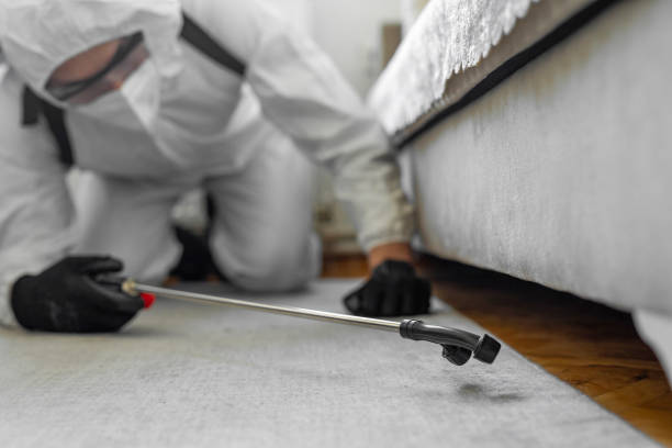 Professional Bed Bug Control technician working in Connellsville, PA