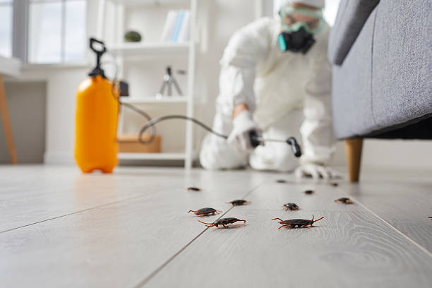 Trusted Cockroach Control service in Connellsville, PA - Nex Pest Control