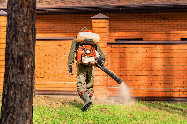 Trusted Termite Control service in Connellsville, PA - Nex Pest Control